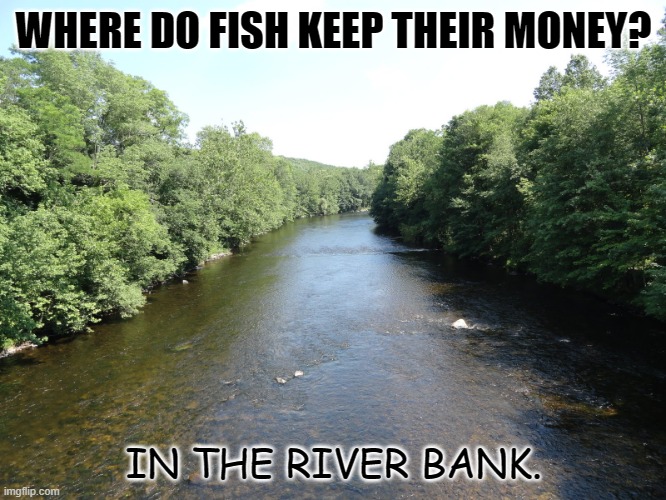 Daily Bad Dad Joke 08/05/2022 | WHERE DO FISH KEEP THEIR MONEY? IN THE RIVER BANK. | image tagged in nothing like fishing on the river | made w/ Imgflip meme maker