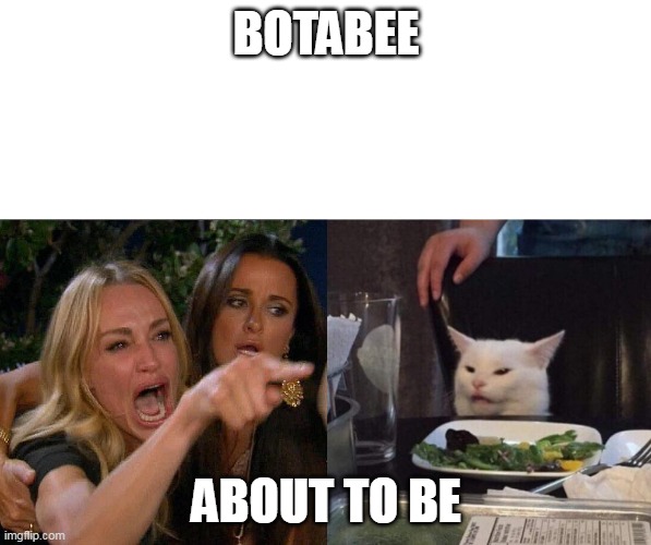 two woman yelling at a cat | BOTABEE; ABOUT TO BE | image tagged in two woman yelling at a cat | made w/ Imgflip meme maker