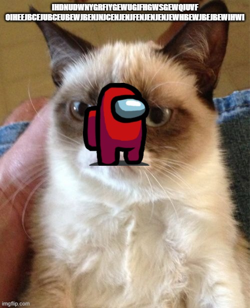 REAL_HIM_BO memes be like: | IHDNUDWNYGRFIYGEWUGIFHGWSGEWQIUVF OIHEEJBCEJUBCEUBEWJBENJNJCENJENJFENJENJENJEWHBEWJBEJBEWIHWI | image tagged in memes,grumpy cat | made w/ Imgflip meme maker