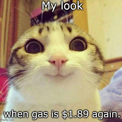 My look when |  My look; when gas is $1.89 again. | image tagged in memes,smiling cat | made w/ Imgflip meme maker