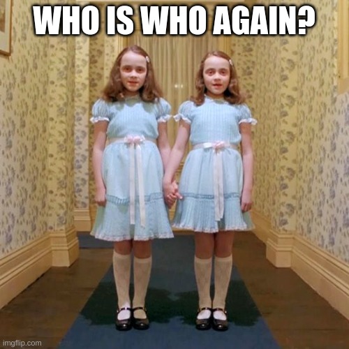 Twins from The Shining | WHO IS WHO AGAIN? | image tagged in twins from the shining | made w/ Imgflip meme maker