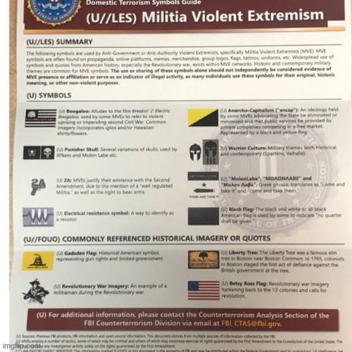 This leaked FBI document makes me want to buy a betsy ross flag, a gadsden flag, a resistor flag, and a molenlabe flag | made w/ Imgflip meme maker