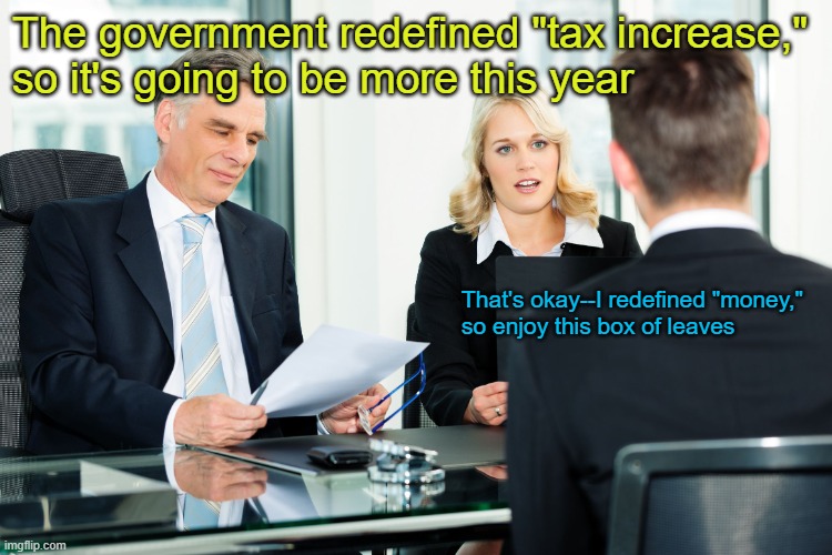 Don't spend it all in one place | The government redefined "tax increase," 
so it's going to be more this year; That's okay--I redefined "money," 
so enjoy this box of leaves | image tagged in job interview | made w/ Imgflip meme maker