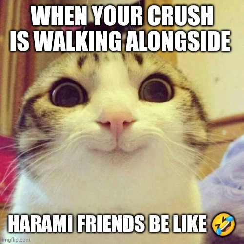 Hamari BHABHI? | WHEN YOUR CRUSH IS WALKING ALONGSIDE; HARAMI FRIENDS BE LIKE 🤣 | image tagged in memes,smiling cat | made w/ Imgflip meme maker