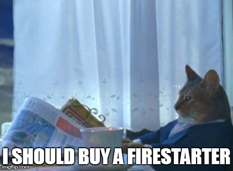I Should Buy A Boat Cat Meme | I SHOULD BUY A FIRESTARTER | image tagged in memes,i should buy a boat cat | made w/ Imgflip meme maker