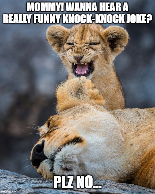 Knock-Knock Cub | MOMMY! WANNA HEAR A REALLY FUNNY KNOCK-KNOCK JOKE? PLZ NO... | image tagged in lion,lions,lioness,knock knock,joke | made w/ Imgflip meme maker