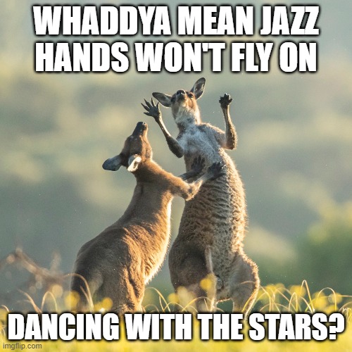 Kangaroo Jazz Hands |  WHADDYA MEAN JAZZ HANDS WON'T FLY ON; DANCING WITH THE STARS? | image tagged in kangaroo,dancing,funny dancing,stars,jazz | made w/ Imgflip meme maker
