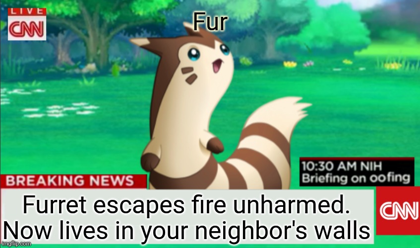 Breaking News Furret | Furret escapes fire unharmed. Now lives in your neighbor's walls Fur | image tagged in breaking news furret | made w/ Imgflip meme maker