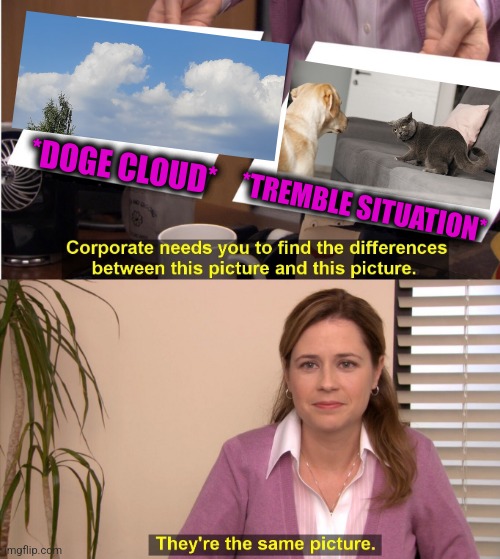 -Rrrhaaauu. Fuf, wuuoof. | *DOGE CLOUD*; *TREMBLE SITUATION* | image tagged in memes,they're the same picture,dogs an cats,angry cat,totally looks like,doge cloud | made w/ Imgflip meme maker