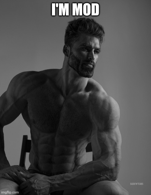 Giga Chad | I'M MOD | image tagged in giga chad | made w/ Imgflip meme maker
