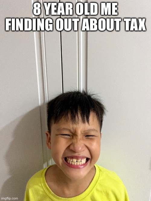 Bruh | 8 YEAR OLD ME FINDING OUT ABOUT TAX | image tagged in memes | made w/ Imgflip meme maker