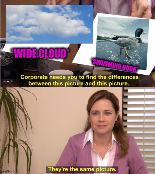 -Our fish catchers. | *WIDE CLOUD*; *SWIMMING DUCK* | image tagged in memes,they're the same picture,donald duck,just keep swimming,totally looks like,underwater | made w/ Imgflip meme maker