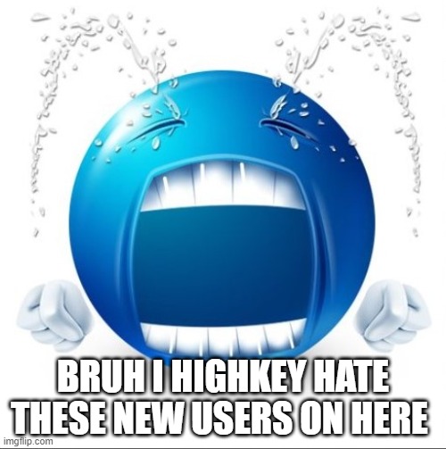 Crying Blue guy | BRUH I HIGHKEY HATE THESE NEW USERS ON HERE | image tagged in crying blue guy | made w/ Imgflip meme maker