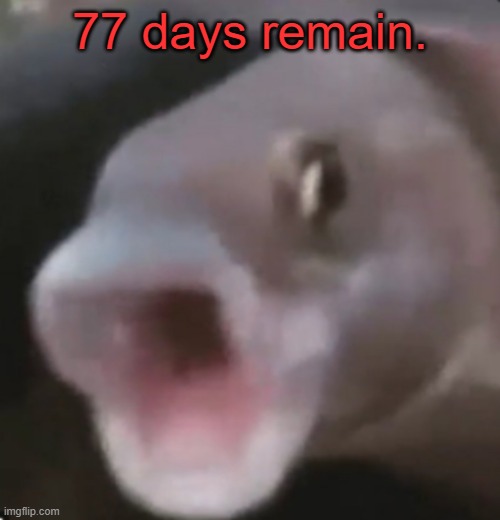 77 days remain. | 77 days remain. | image tagged in 77 days remain | made w/ Imgflip meme maker