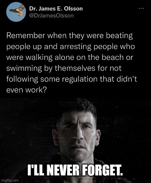 I'll never forget. | I'LL NEVER FORGET. | image tagged in marvel punisher | made w/ Imgflip meme maker
