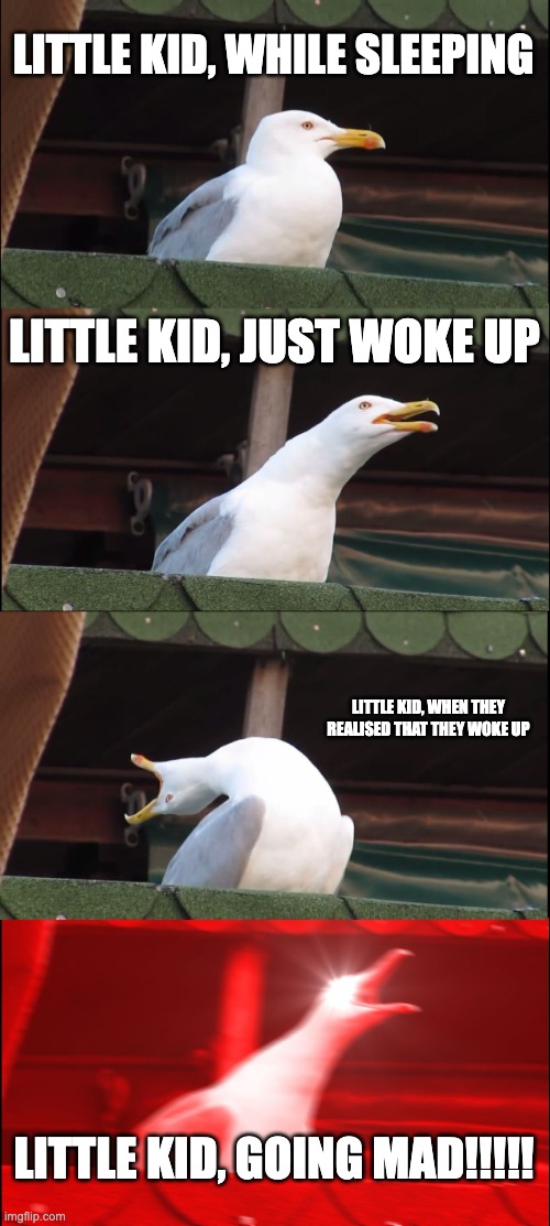 Inhaling Seagull | LITTLE KID, WHILE SLEEPING; LITTLE KID, JUST WOKE UP; LITTLE KID, WHEN THEY REALISED THAT THEY WOKE UP; LITTLE KID, GOING MAD!!!!! | image tagged in memes,inhaling seagull | made w/ Imgflip meme maker