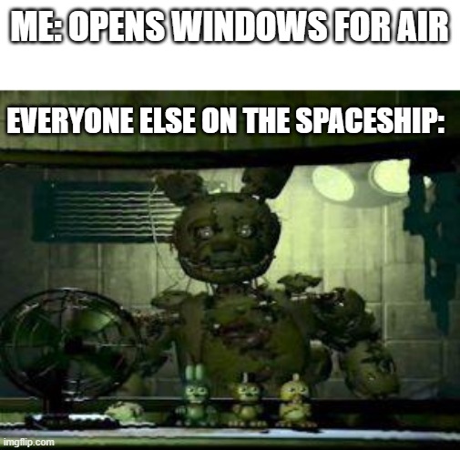 YOU DID WHAT!? |  ME: OPENS WINDOWS FOR AIR; EVERYONE ELSE ON THE SPACESHIP: | image tagged in fnaf springtrap in window,space,fnaf,memes | made w/ Imgflip meme maker