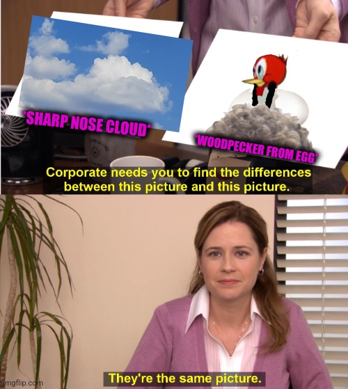 -Paradise bird. Cures the forests. | *SHARP NOSE CLOUD*; *WOODPECKER FROM EGG* | image tagged in memes,they're the same picture,woody,egg,nest,totally looks like | made w/ Imgflip meme maker