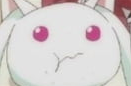 High Quality KYUBEY HUNGRY Blank Meme Template