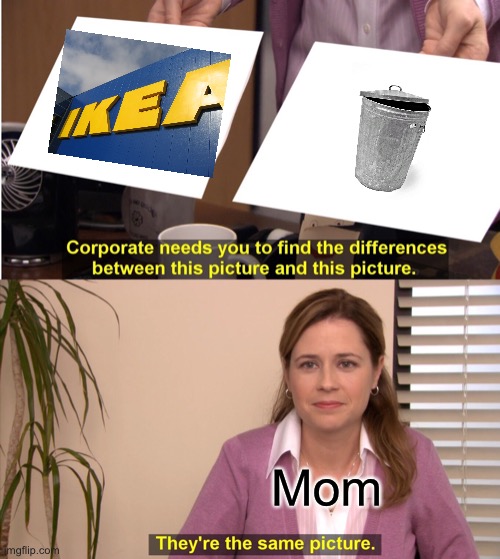 They're The Same Picture Meme | Mom | image tagged in memes,they're the same picture,ikea,trash,mom | made w/ Imgflip meme maker