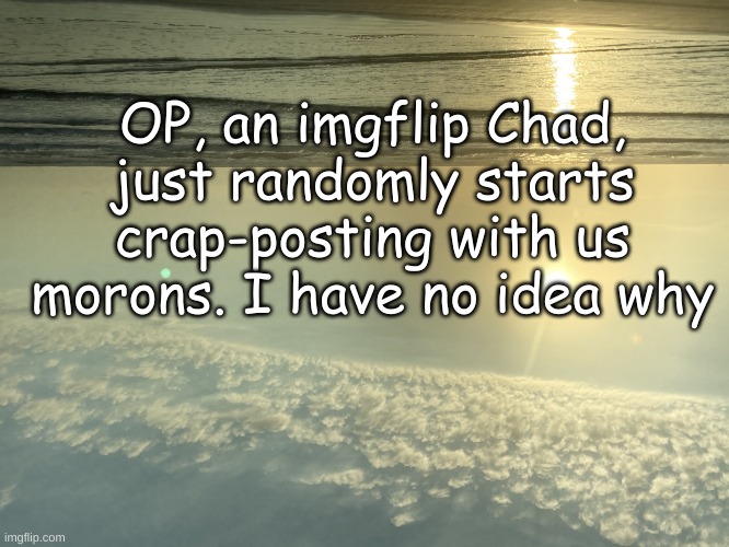 It's a New Day | OP, an imgflip Chad, just randomly starts crap-posting with us morons. I have no idea why | image tagged in it's a new day | made w/ Imgflip meme maker