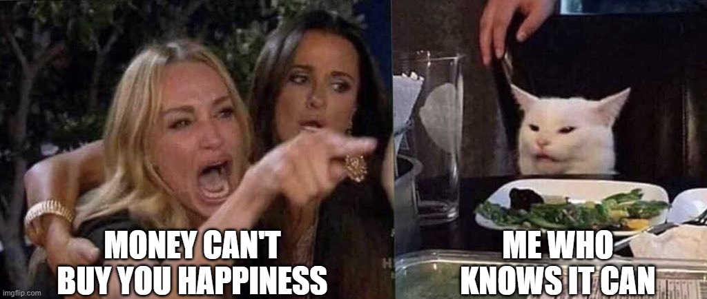 woman yelling at cat | MONEY CAN'T BUY YOU HAPPINESS ME WHO KNOWS IT CAN | image tagged in woman yelling at cat | made w/ Imgflip meme maker