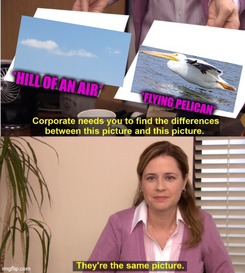 -Higher till stars. | *HILL OF AN AIR*; *FLYING PELICAN* | image tagged in memes,they're the same picture,pelican,flying monkeys,totally looks like,weird wildlife | made w/ Imgflip meme maker