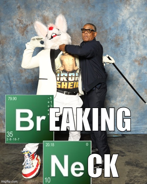 Gus ain't got no chill. xD | EAKING; CK | image tagged in memes,funny,breaking bad,gus fring,fursuit | made w/ Imgflip meme maker