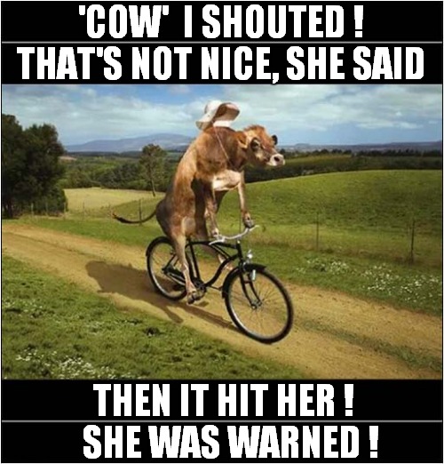 I Saw My Ex Out For A Walk ! | 'COW'  I SHOUTED !
THAT'S NOT NICE, SHE SAID; THEN IT HIT HER !
  SHE WAS WARNED ! | image tagged in cow,abuse,visual pun | made w/ Imgflip meme maker