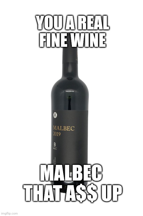 Malbec dat Azz Up | YOU A REAL FINE WINE; MALBEC 
THAT A$$ UP | image tagged in wine,red wine,rap | made w/ Imgflip meme maker