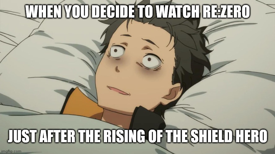 Emotional damage.... | WHEN YOU DECIDE TO WATCH RE:ZERO; JUST AFTER THE RISING OF THE SHIELD HERO | image tagged in re zero subaru,re zero,rising of the shield hero | made w/ Imgflip meme maker