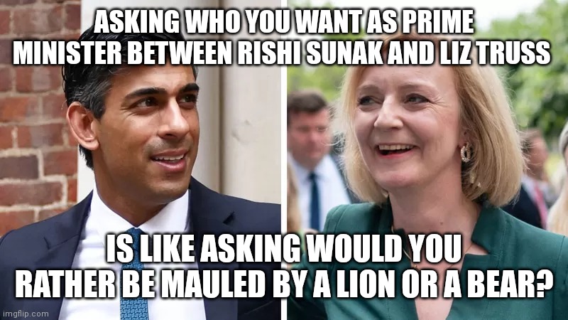 Ether way both are Tory scum | ASKING WHO YOU WANT AS PRIME MINISTER BETWEEN RISHI SUNAK AND LIZ TRUSS; IS LIKE ASKING WOULD YOU RATHER BE MAULED BY A LION OR A BEAR? | image tagged in rishi sunak and liz truss,memes,tories,british,left wing,leftists | made w/ Imgflip meme maker