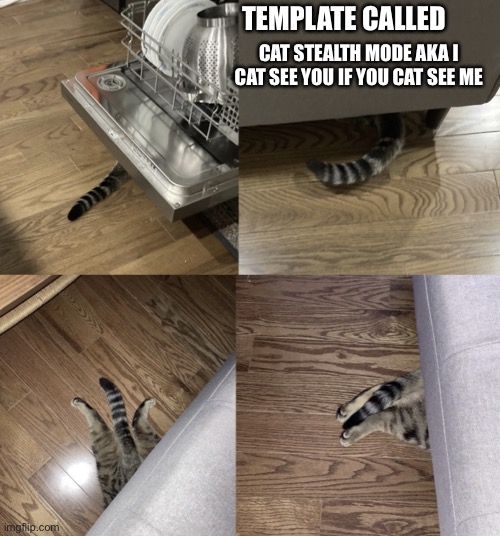 Hide and go cat | TEMPLATE CALLED; CAT STEALTH MODE AKA I CAT SEE YOU IF YOU CAT SEE ME | image tagged in cat stealth mode | made w/ Imgflip meme maker