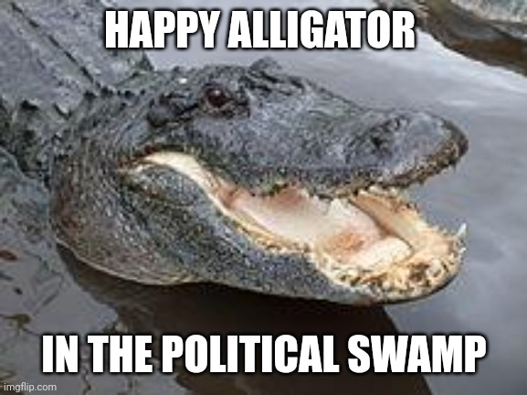 Beware! | HAPPY ALLIGATOR; IN THE POLITICAL SWAMP | image tagged in alligator wut | made w/ Imgflip meme maker