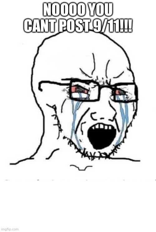 Nooo soyboy | NOOOO YOU CANT POST 9/11!!! | image tagged in nooo soyboy | made w/ Imgflip meme maker