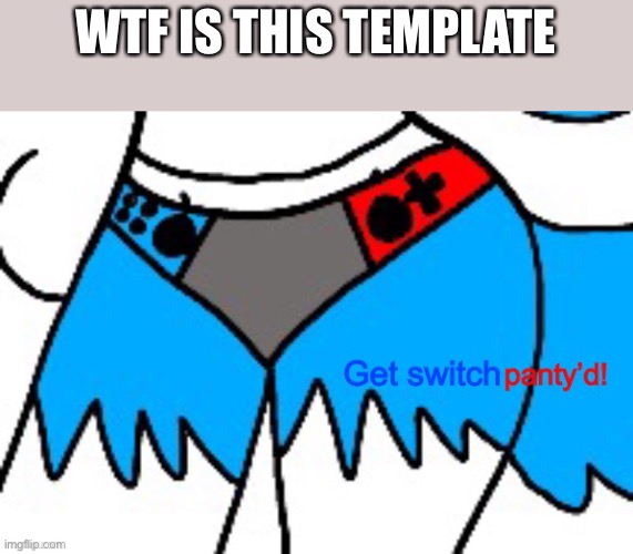 Bruh | WTF IS THIS TEMPLATE | image tagged in get switch panty d | made w/ Imgflip meme maker