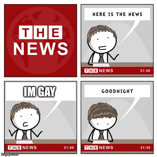:) | IM GAY | image tagged in the news,gay | made w/ Imgflip meme maker