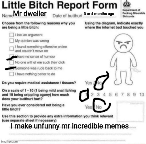 Little bitch report form | Mr dweller; 3 or 4 months ago; I make unfunny mr incredible memes | image tagged in little bitch report form | made w/ Imgflip meme maker