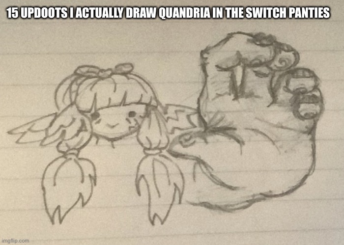 draw it now | 15 UPDOOTS I ACTUALLY DRAW QUANDRIA IN THE SWITCH PANTIES | image tagged in hot-diggity-dog | made w/ Imgflip meme maker