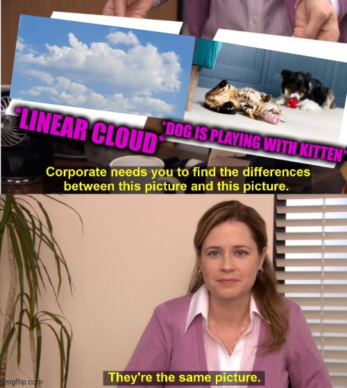 -Their great company of eachother. | *LINEAR CLOUD*; *DOG IS PLAYING WITH KITTEN* | image tagged in memes,they're the same picture,dogs an cats,playing cards,totally looks like,stay home | made w/ Imgflip meme maker