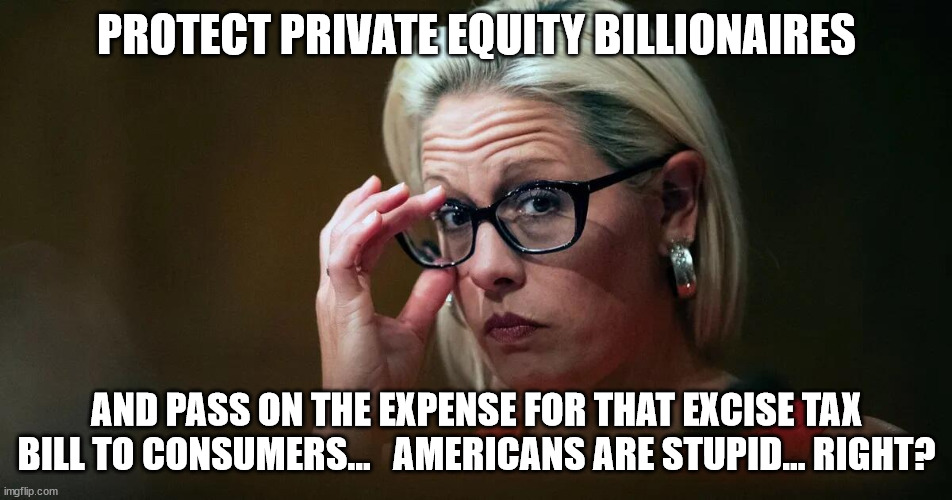 Democrats hate middle class Americans | PROTECT PRIVATE EQUITY BILLIONAIRES; AND PASS ON THE EXPENSE FOR THAT EXCISE TAX BILL TO CONSUMERS...   AMERICANS ARE STUPID... RIGHT? | image tagged in crooked,politicians | made w/ Imgflip meme maker