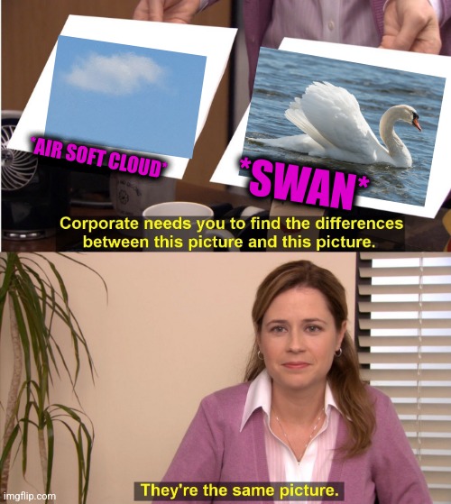 -Clear water pound. | *SWAN*; *AIR SOFT CLOUD* | image tagged in memes,they're the same picture,ron swanson,water,twitter birds says,totally looks like | made w/ Imgflip meme maker