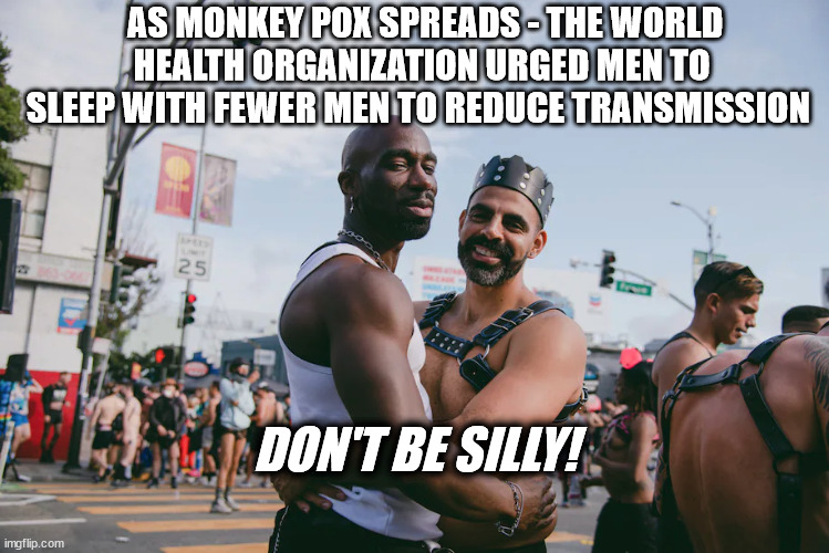 Monogomy - LOL | AS MONKEY POX SPREADS - THE WORLD HEALTH ORGANIZATION URGED MEN TO SLEEP WITH FEWER MEN TO REDUCE TRANSMISSION; DON'T BE SILLY! | image tagged in monkeypox,gay pride,politics | made w/ Imgflip meme maker