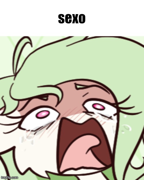 t | sexo | made w/ Imgflip meme maker
