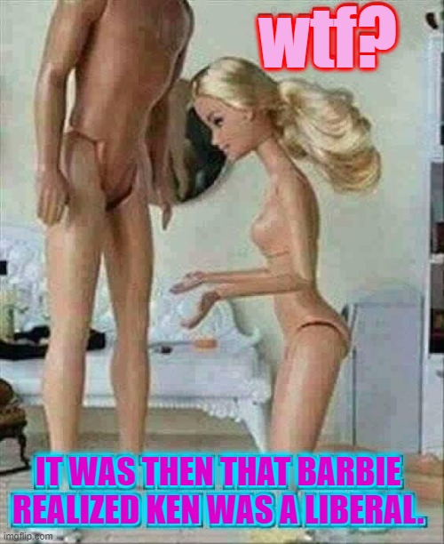 wtf? IT WAS THEN THAT BARBIE REALIZED KEN WAS A LIBERAL. | made w/ Imgflip meme maker
