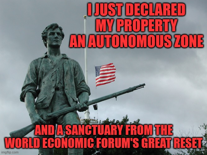 Gotta start somewhere, The Great Reject- we don't need a new world odor, the Democrats smell bad enough | I JUST DECLARED MY PROPERTY AN AUTONOMOUS ZONE; AND A SANCTUARY FROM THE WORLD ECONOMIC FORUM'S GREAT RESET | image tagged in minuteman statue | made w/ Imgflip meme maker