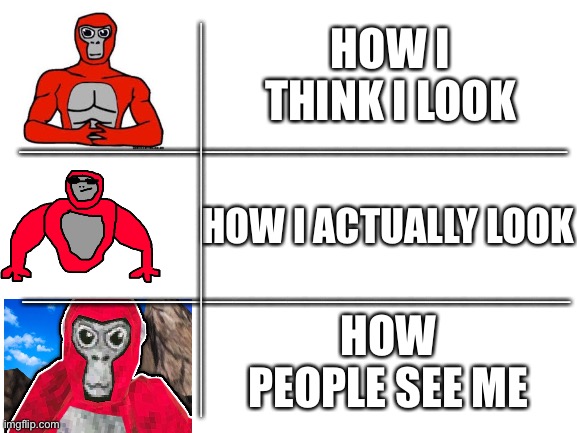 Every time | HOW I THINK I LOOK; _______________________________; HOW I ACTUALLY LOOK; _______________________________; _______________________________; HOW PEOPLE SEE ME | image tagged in blank white template,gorilla tag | made w/ Imgflip meme maker