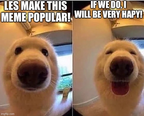 wholesome doggo | LES MAKE THIS MEME POPULAR! IF WE DO, I WILL BE VERY HAPY! | image tagged in wholesome doggo | made w/ Imgflip meme maker