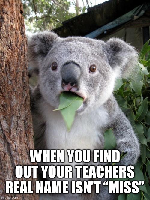 But Miss?… | WHEN YOU FIND OUT YOUR TEACHERS REAL NAME ISN’T “MISS” | image tagged in memes,surprised koala,koala,school,teacher,name | made w/ Imgflip meme maker