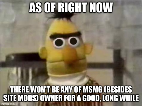 Bert Stare | AS OF RIGHT NOW; THERE WON'T BE ANY OF MSMG (BESIDES SITE MODS) OWNER FOR A GOOD, LONG WHILE | image tagged in bert stare | made w/ Imgflip meme maker